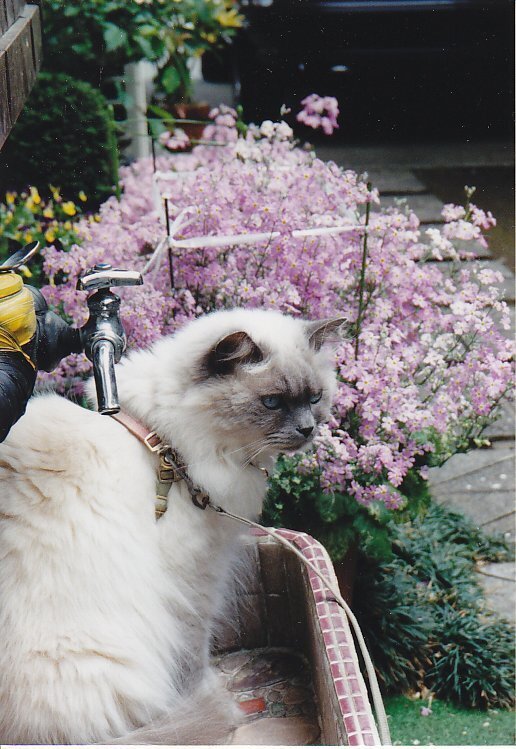 03.jpg