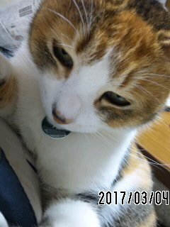 170304_0734~01.jpg