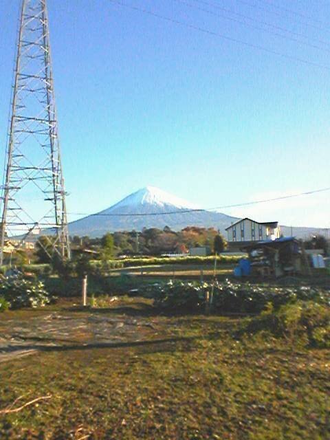 2008-11-13.jpg