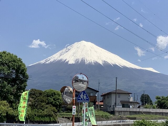 5月の雪.jpg