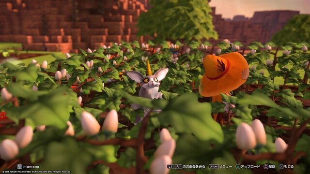 うさぎ.jpg