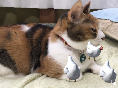 にわとり.png