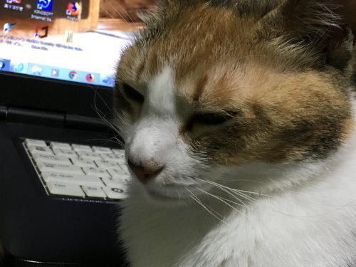 パソコン前3.jpg