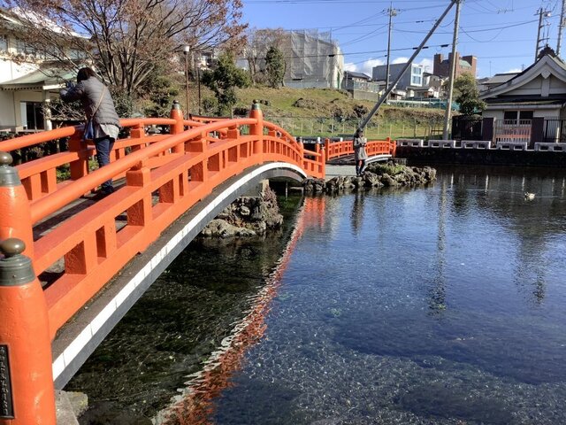 浅間大社4.jpeg