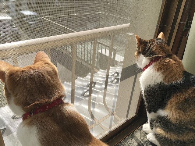 image1.jpeg