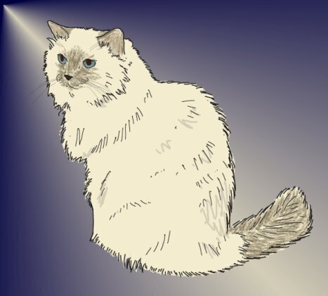 light.jpg