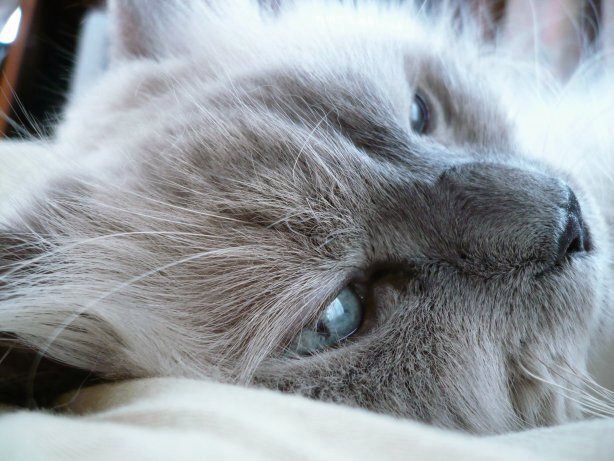 onbed2.jpg
