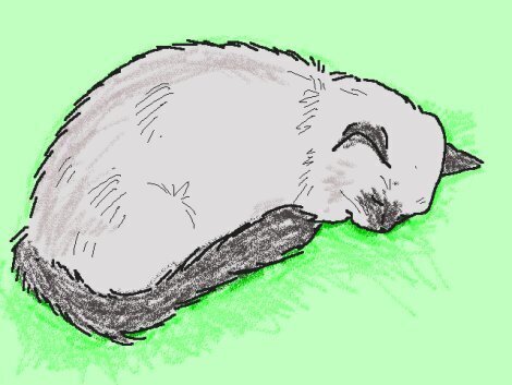 sleep.jpg